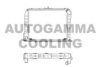 AUTOGAMMA 101275 Radiator, engine cooling